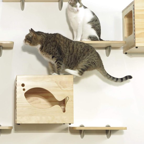 Katten klimmuur box Catswall CatsClimber