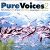 Pure Voices 2