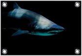 Tuinposter –Gevaarlijke Haai– 60x40 Foto op Tuinposter (wanddecoratie voor buiten en binnen)