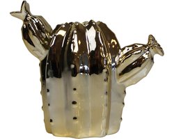 Housevitamin Vaas | Cactus goud