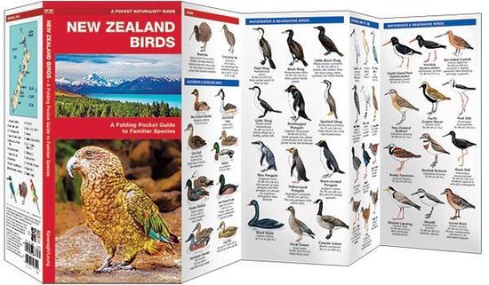 Thumbnail van een extra afbeelding van het spel New Zealand Birds
