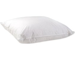 Ducky Dons Kussen - Puntkussen - 10% Dons - 60x60 - Wit