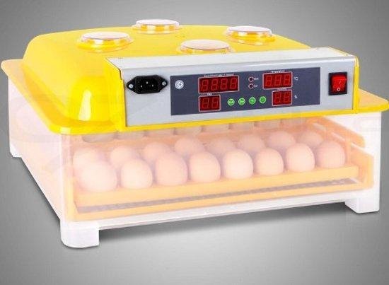 Broedmachine met 4 kijkvensters, voor 48 eieren. DQ48KV. - Merkloos