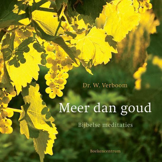 Meer dan goud, W. Verboom 9789023928058 Boeken bol