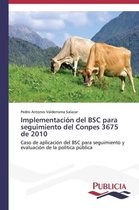 Implementación del BSC para seguimiento del Conpes 3675 de 2010