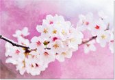 Graphic Message Tuin Schilderij op Outdoor Canvas - Japanse Kersen Bloesem - Bloemen - Buiten