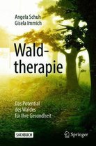 Waldtherapie das Potential des Waldes fuer Ihre Gesundheit