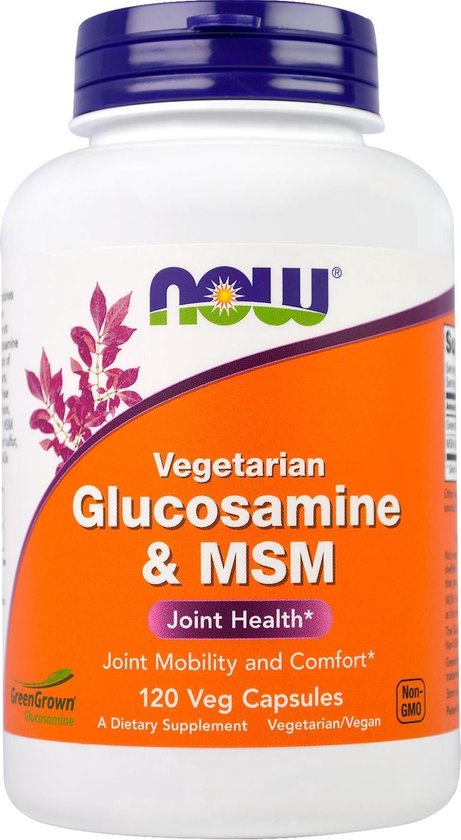 Glucosamine & MSM 120v-caps bol.com