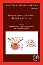 Semiconductor Nanowires I
