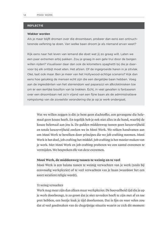 Pagina 14 van het boek 'Mooi Werk' met tekst over werk, job crafting en dromen.