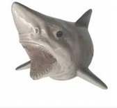 Shark Lamp