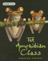The Amphibian Class