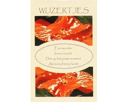 Wijzertjes Inzichtkaarten