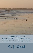 Little Gifts of Sustainable Contentment