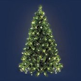 sparkle net light
