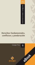 Postpositivismo y Derecho 6 - Derechos fundamentales, conflictos y ponderación