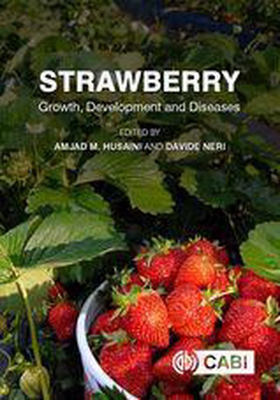 Strawberry - cover