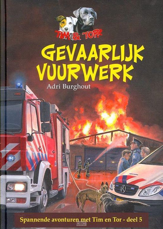 Cover van het boek 'Gevaarlijk Vuurwerk'