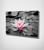 Pink Flower Canvas - 30 x 40 cm - Bloemen - Schilderij - Canvas - Slaapkamer - Wanddecoratie  - Slaapkamer - Foto op canvas