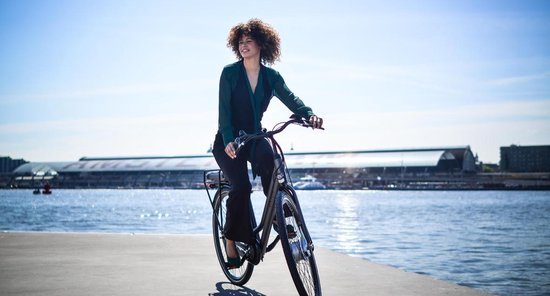 Union Fast - Elektrische fiets - Dames - 49cm - 7 versnellingen - Mint  green | bol.com