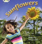 Phonics Bug: Sunflowers Phase 5 (N-F)