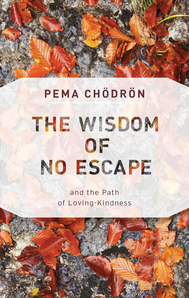The Wisdom of No Escape: And the Path of Loving-Kindness - Pema Chodron