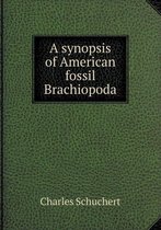A synopsis of American fossil Brachiopoda
