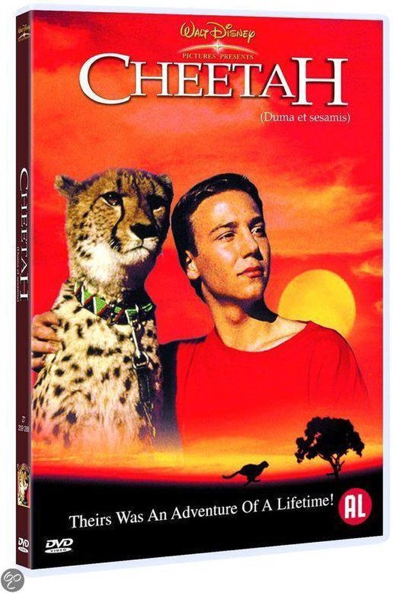 Cheetah