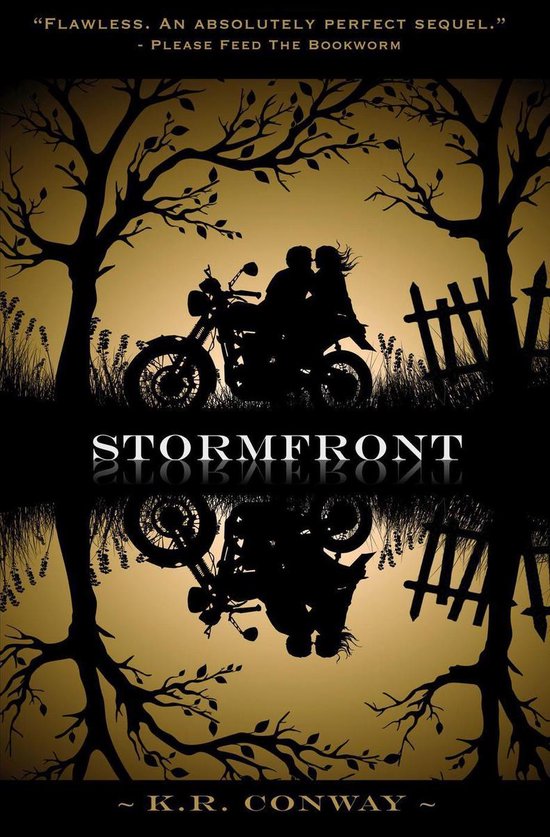 Undertow 2 - Stormfront - cover