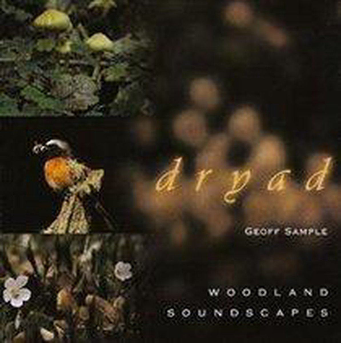 Afbeelding van product Dryad: Woodland Soundscapes  - Geoff Sample
