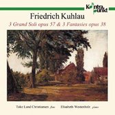 Toke Lund Christiansen & Elisabeth Westenholz - 3 Grand Soli Opus 57 & 3 Fantasies (CD)
