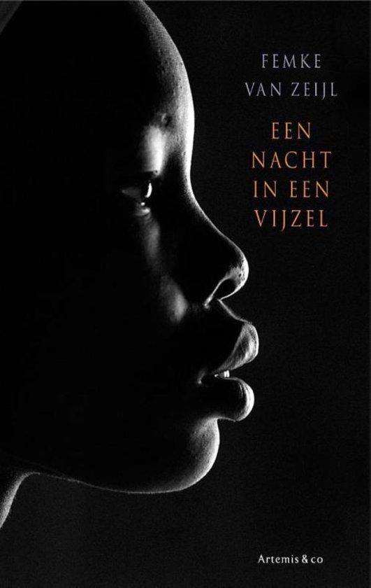 Een nacht in een vijzel - cover