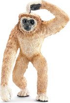 Gibbon