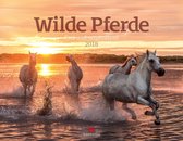 Wilde Paarden - Wilde Pferde Kalender 2018