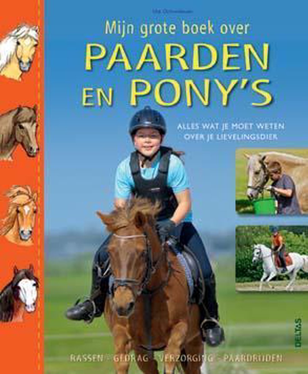 Mijn grote boek over paarden en pony s - Ute Ochsenbauer