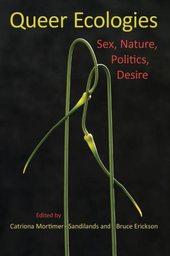 Foto: 