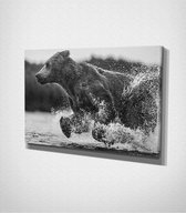 Bear Jumping Out Of Water Canvas | 30x40 cm