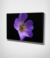 Purple Flower Canvas - 30 x 40 cm - Bloemen - Schilderij - Canvas - Slaapkamer - Wanddecoratie  - Slaapkamer - Foto op canvas