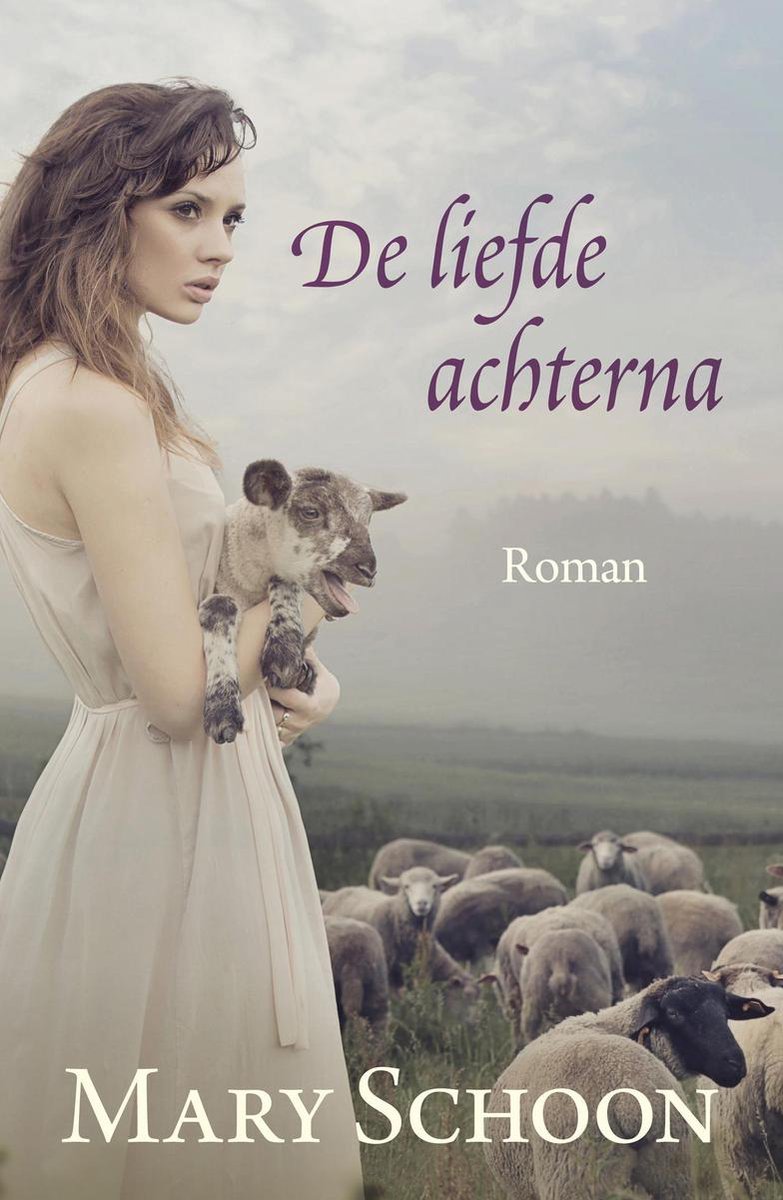 Omslag van De liefde achterna