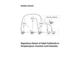 Regulatory Genes of AdpA Subfamily in Streptomyces: Function and Evolution