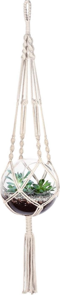 Wdmxszdq 35 Inch Macramé Plantenhanger, Macramé Hangmand Met Haak Voor Binnen En Buitenhangende Plantenbakken Wit 2 Pack Wdmxszdq 35 Inch Macramé Plantenhanger, Macramé Hangmand Met Haak Voor Binnen En Buitenhangende Plantenbakken Wit 2 Pack