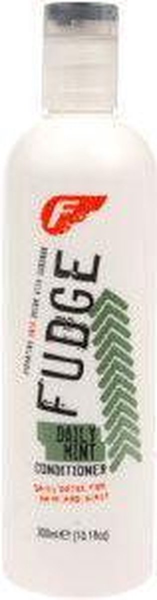 Fudge Daily Mint - 300 ml - Conditioner