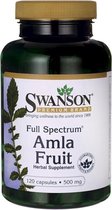 Swanson Health Full Spectrum Amla Fruit (Indian Gooseberry)