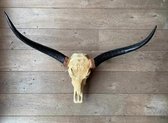 Longhorn skull 1 meter | Dena