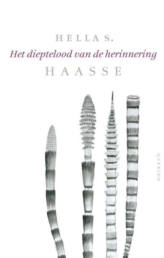 Het Dieptelood Van De Herinnering