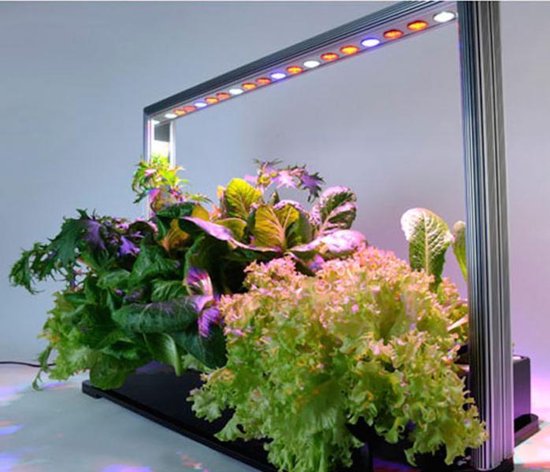 Parus M30 PRO Mini Farm Grow Light
