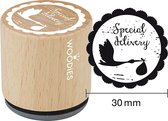 Special delivery Rubber Stamp (WE6003) (DISCONTINUED)