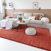 Hoogpolig vloerkleed shaggy Trend effen - terracotta 160x160 cm