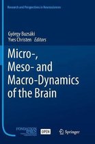 Micro-, Meso- and Macro-Dynamics of the Brain
