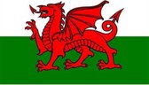 Vlag van Wales 90 x 150